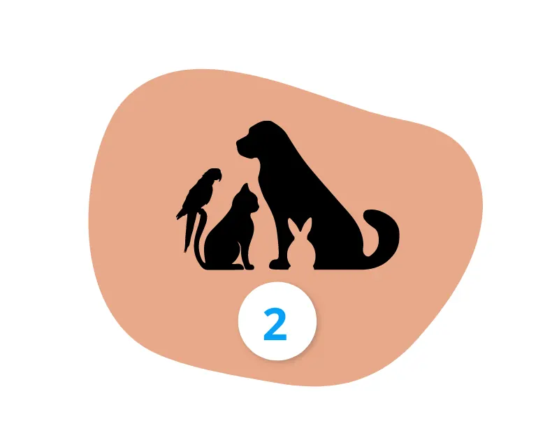 fonctionnement étape 2 définition des besoins-Mon Animal Relais-petsitter-garde d'animaux-bien être animal-chien-chats-promenade-volvic