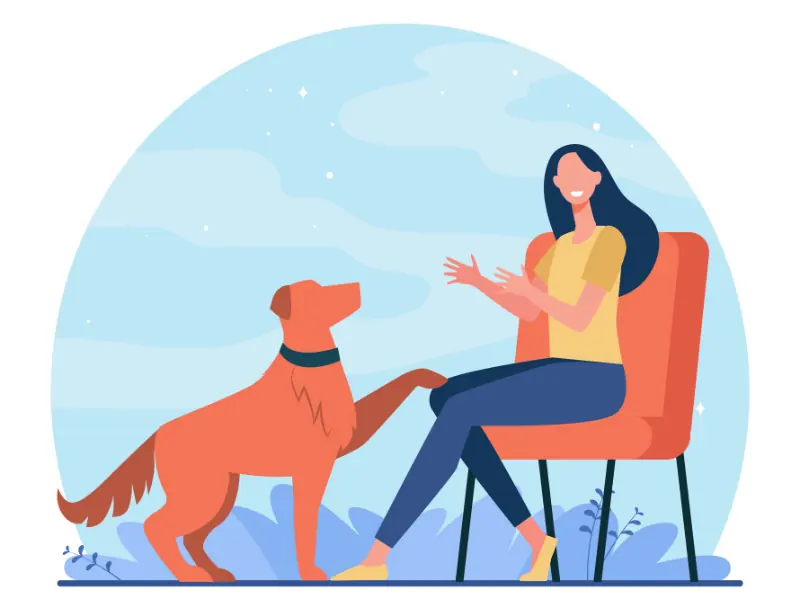 mes services de petsitter pour vos animaux de compagnie-Mon Animal Relais-petsitter-garde d'animaux-bien être animal-chien-chats-promenade-volvic