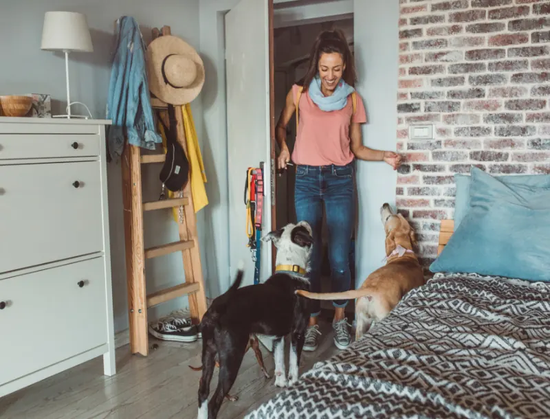 fonctionnement et tarifs prestation visite-Mon Animal Relais-petsitter-garde d'animaux-bien être animal-chien-chats-promenade-volvic